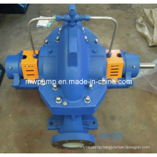 Centrifugal Water Pump (XS100-310)